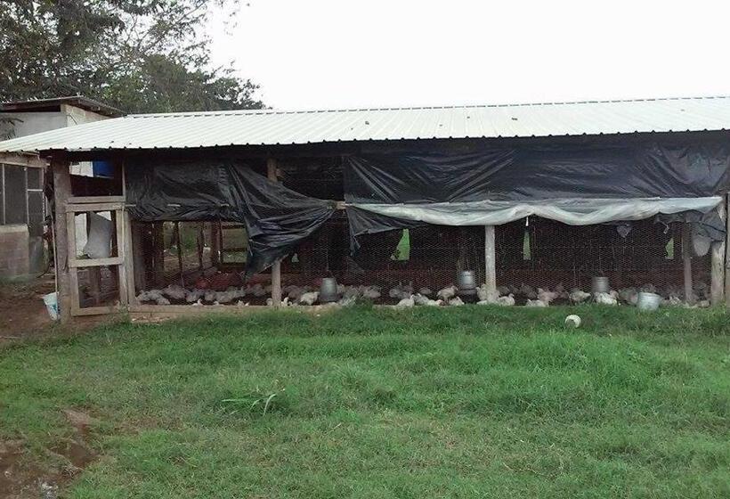 بنسيون Don Santiago Guesthouse Downtown