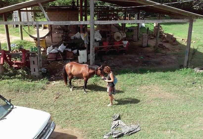 بنسيون Don Santiago Guesthouse Downtown