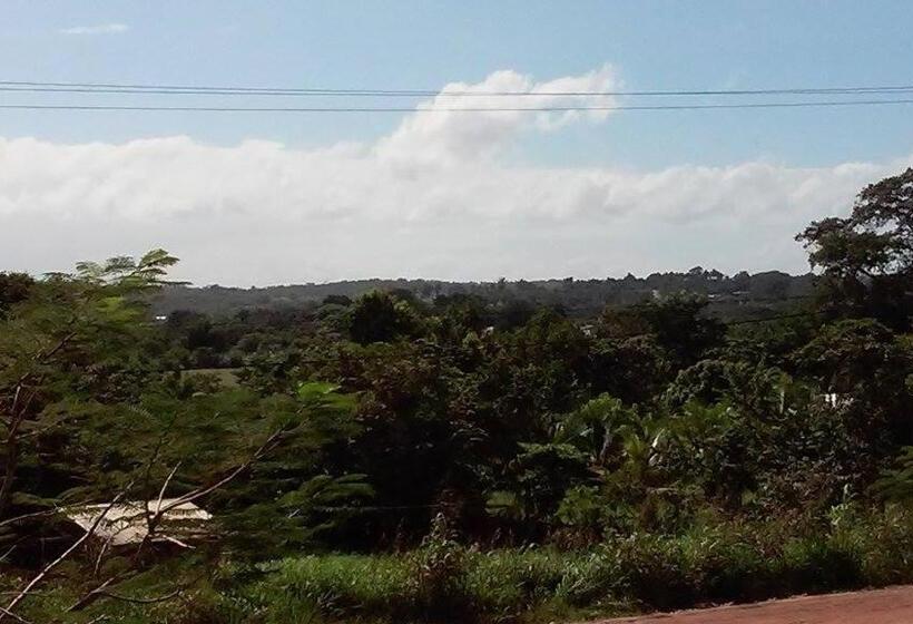 بنسيون Don Santiago Guesthouse Downtown