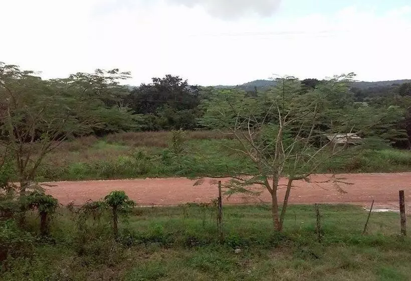 Majatalo Don Santiago Guesthouse Downtown