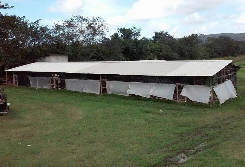 بنسيون Don Santiago Guesthouse Downtown