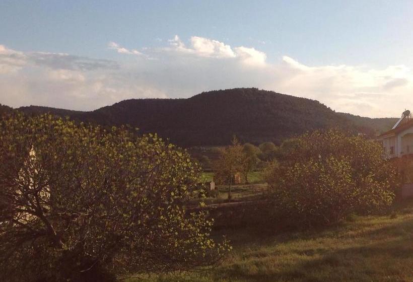 Schronisko Big Garden Bahçeli Konak