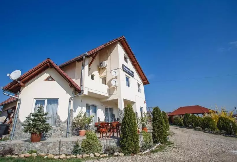 ホテル Pensiunea Faur