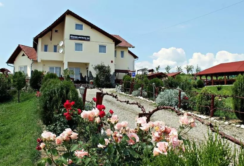 ホテル Pensiunea Faur