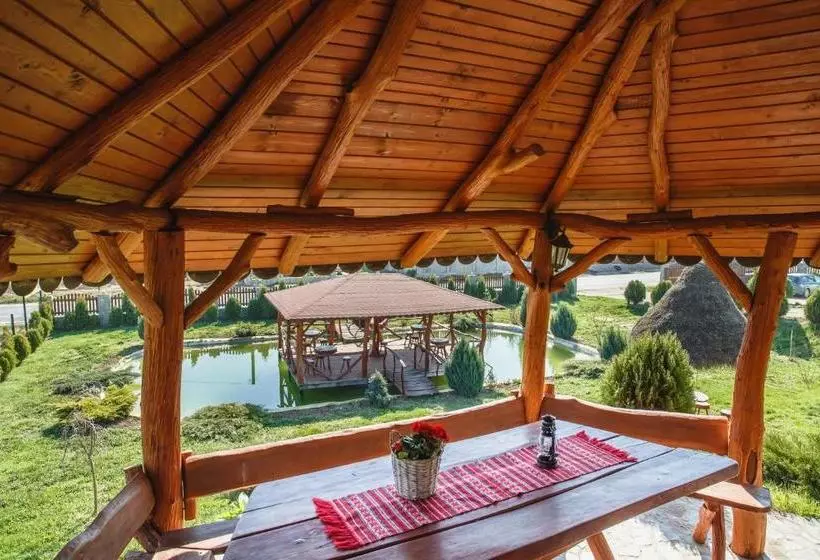 ホテル Pensiunea Faur