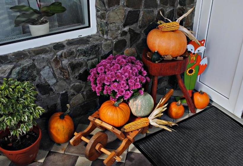 בית מלון כפרי Pensiunea Faur