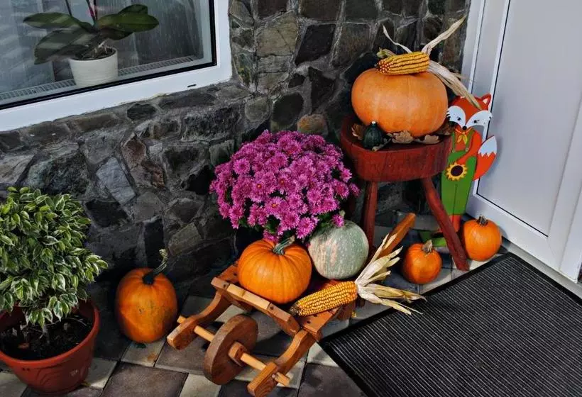 ホテル Pensiunea Faur