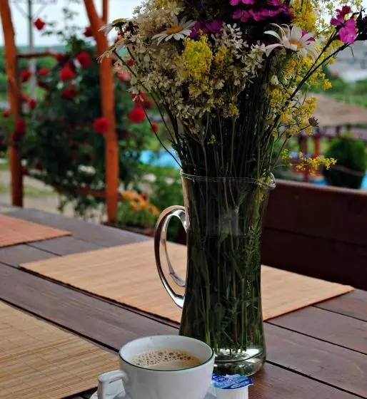 ホテル Pensiunea Faur