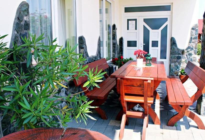 בית מלון כפרי Pensiunea Faur