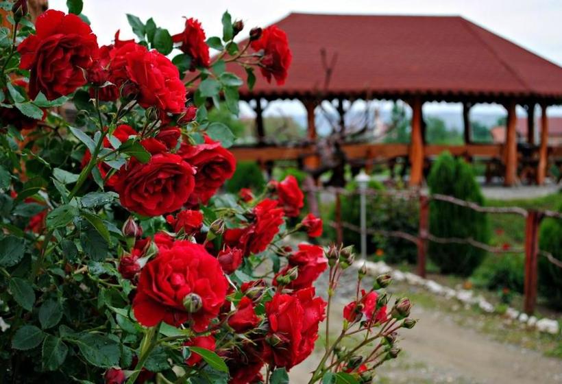 בית מלון כפרי Pensiunea Faur