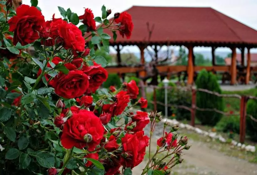 ホテル Pensiunea Faur