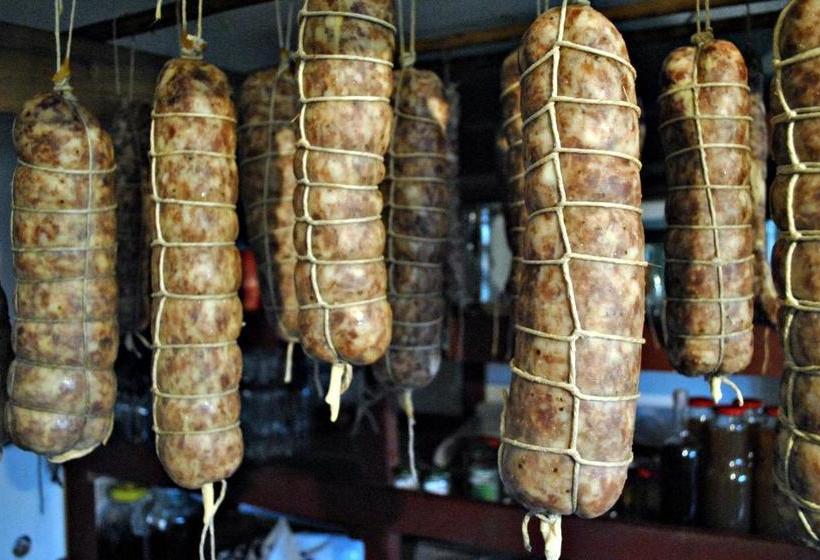 בית מלון כפרי Pensiunea Faur