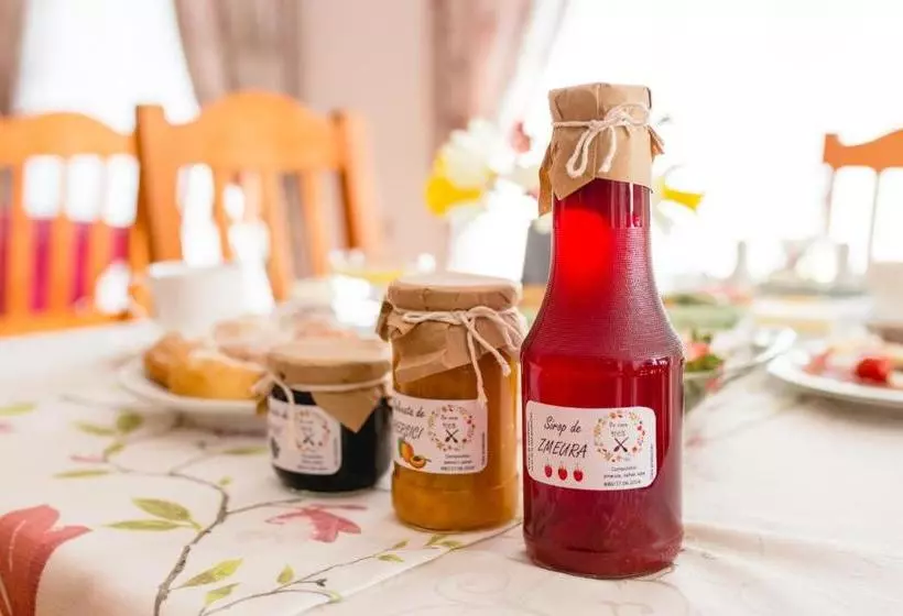 ホテル Pensiunea Faur