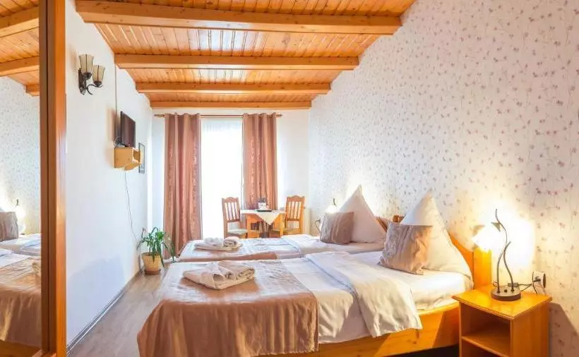 ホテル Pensiunea Faur