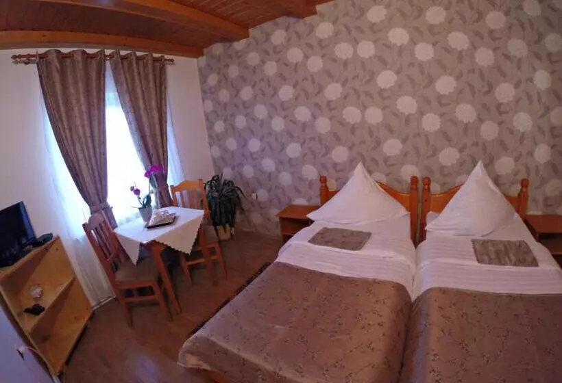 ホテル Pensiunea Faur