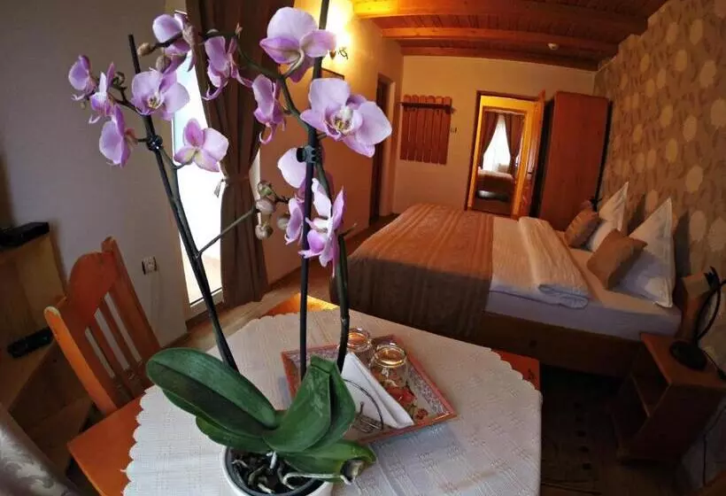 ホテル Pensiunea Faur