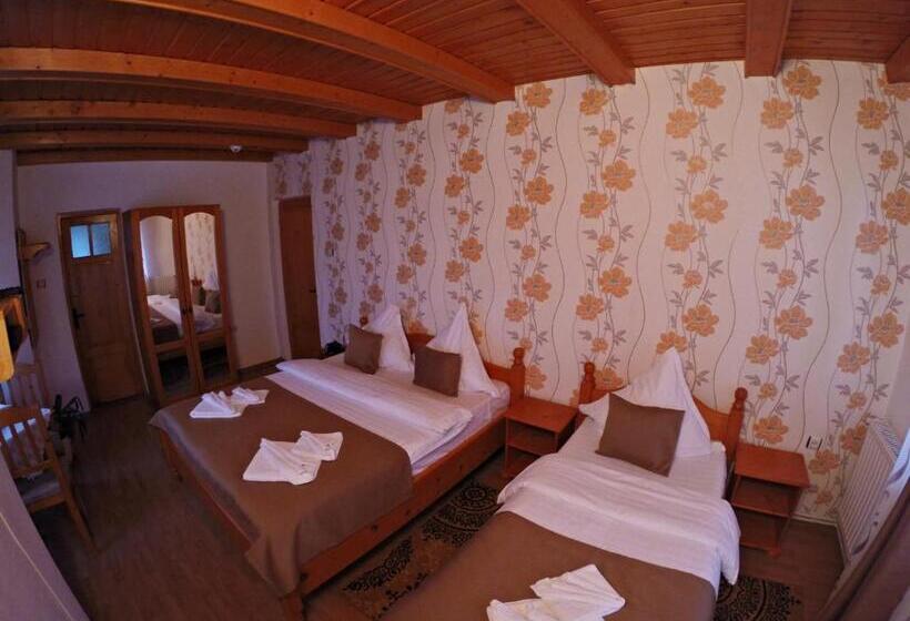 בית מלון כפרי Pensiunea Faur