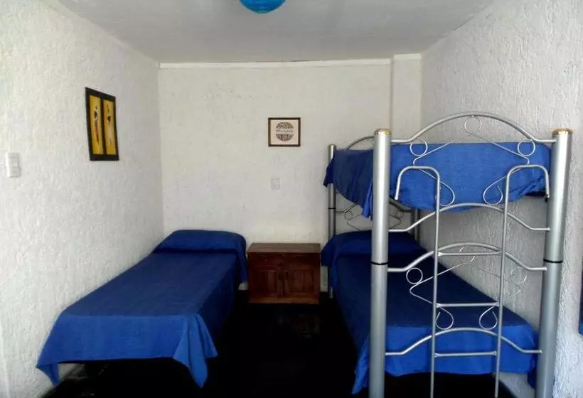 پانسیون Hostel Otro Mundo