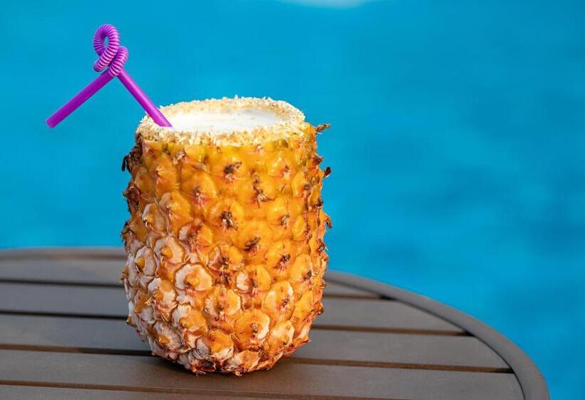 פנסיון Pousada Pé Na Terra