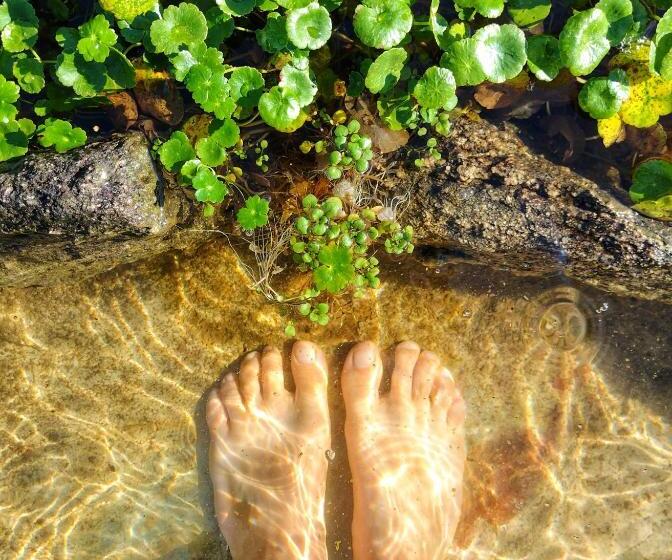 Del Sol A La Montaña Ecolodge   Turismo Consciente