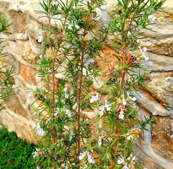 Del Sol A La Montaña Ecolodge   Turismo Consciente