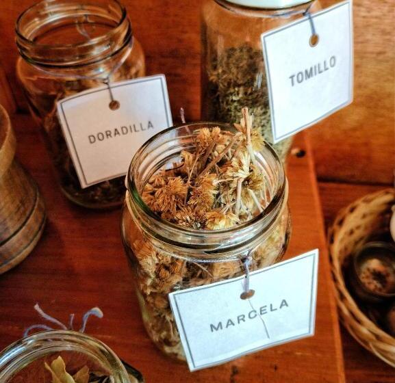 Del Sol A La Montaña Ecolodge   Turismo Consciente