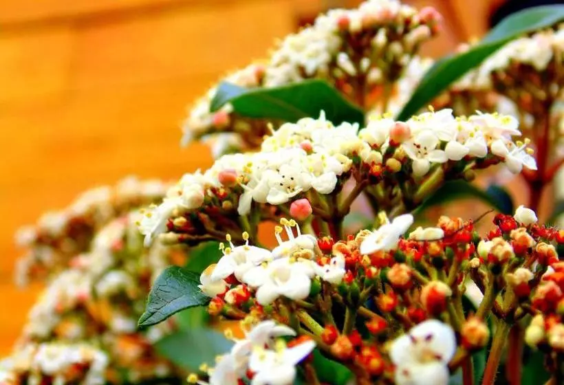 Del Sol A La Montaña Ecolodge   Turismo Consciente