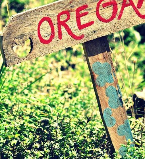 Del Sol A La Montaña Ecolodge   Turismo Consciente