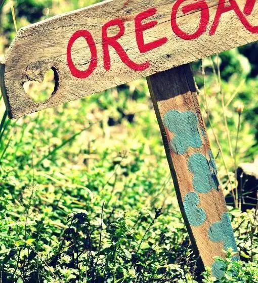 Del Sol A La Montaña Ecolodge   Turismo Consciente