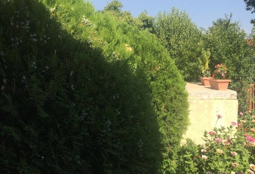 پانسیون Hostel Oldtown