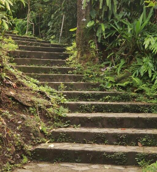 پانسیون Calibishie Sandbar