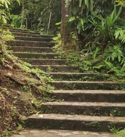 پانسیون Calibishie Sandbar