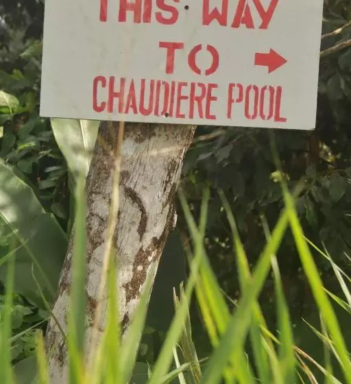 پانسیون Calibishie Sandbar