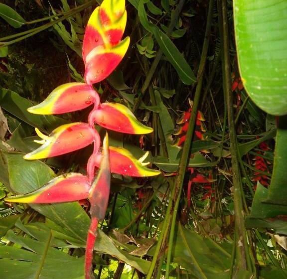 پانسیون Calibishie Sandbar