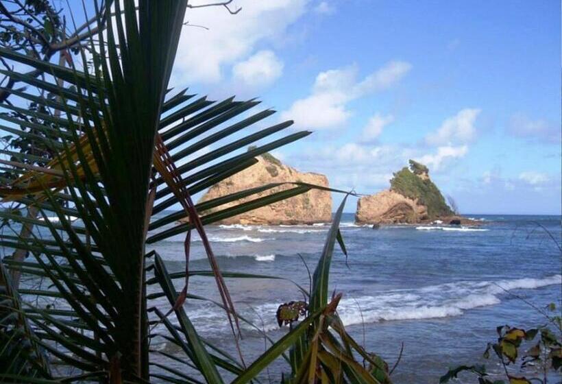 پانسیون Calibishie Sandbar