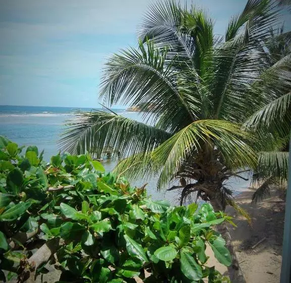 پانسیون Calibishie Sandbar