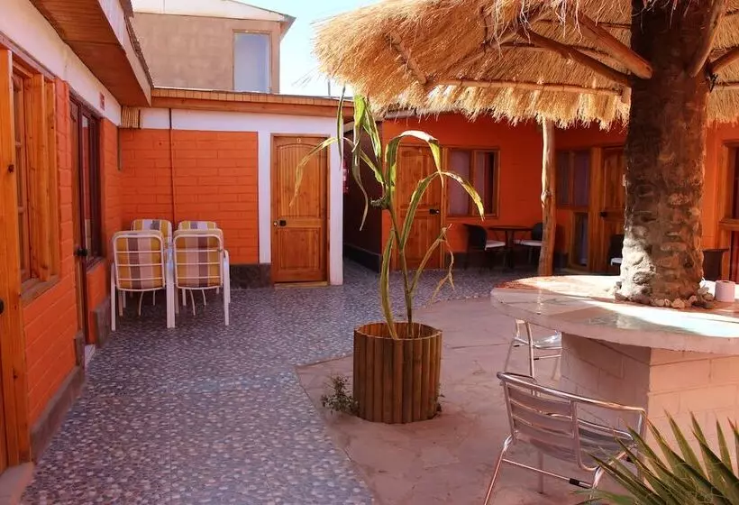 پانسیون Hostal Atacama North