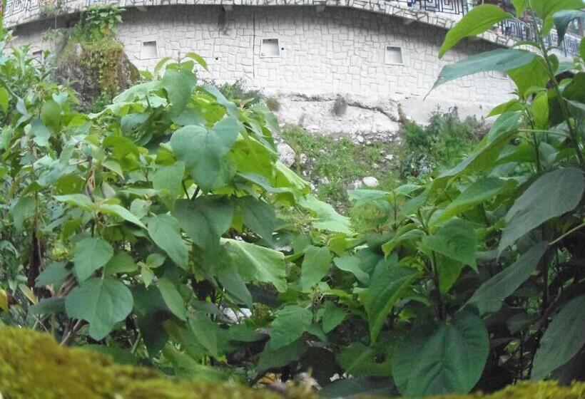 膳宿费 Hostal Pablo S House