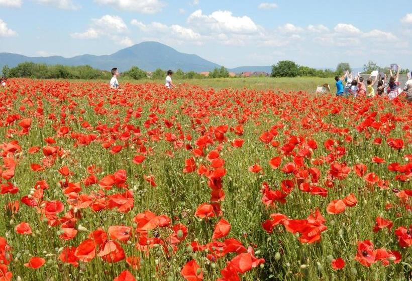 Pensiunea Cetatea Craiului