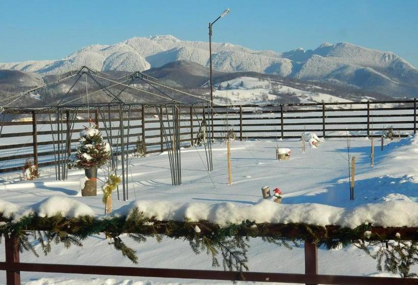 Pensiunea Cetatea Craiului