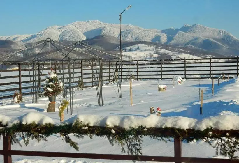 Pensiunea Cetatea Craiului