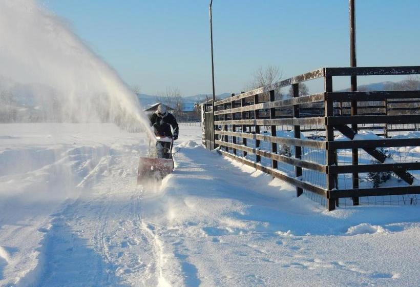 Pensiunea Cetatea Craiului