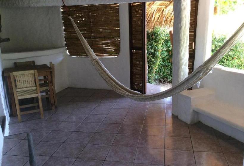 فندق Posada Las Tortuguitas