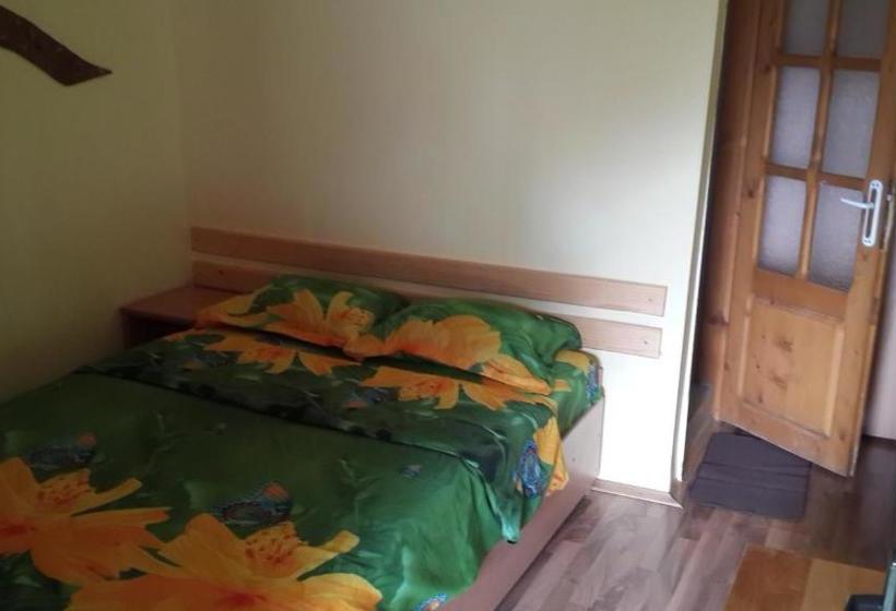 ペンション Casa Dexter