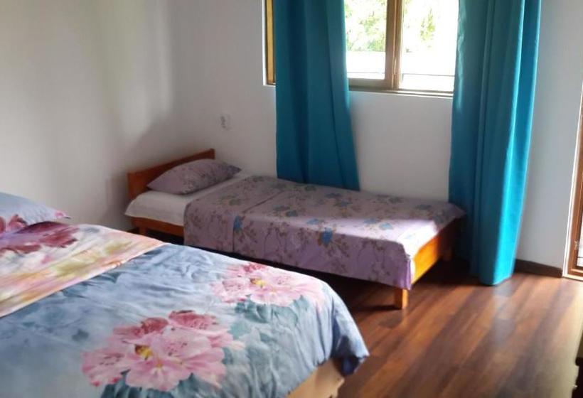 ペンション Casa Dexter