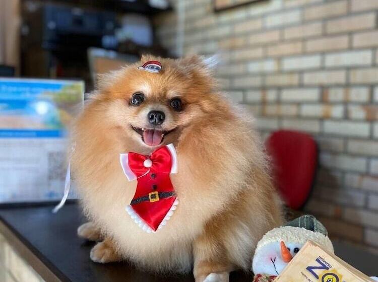 بنسيون Chales Do Holandes Eco Pousada