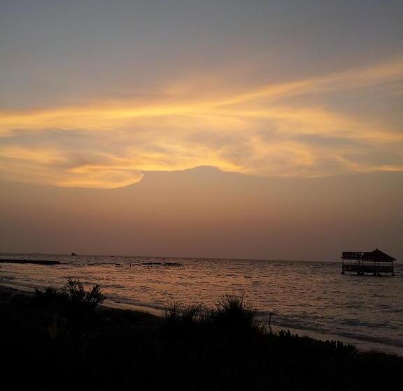 پانسیون Jail Break Surf Inn