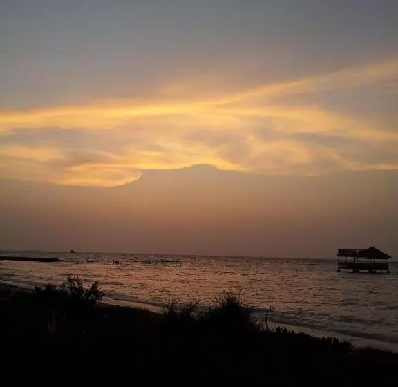 پانسیون Jail Break Surf Inn