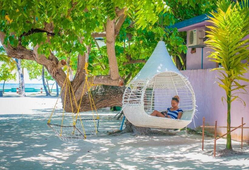 پانسیون Jail Break Surf Inn