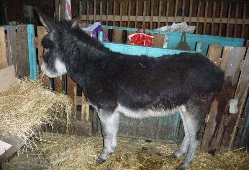 Panzió Pivovar Kocour